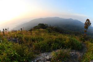 BIB: 
                            <button type="button" onclick="openModal(13576047)" class="btn btn-primary btn-sm float-right btn-popup" data-toggle="modal" data-target=".modal-high-quality">
                        <i class="fas fa-shopping-cart"></i> Add to Cart
                    </button>
                                            <button type="button" onclick="isThisMe(13576047, true)" class="btn btn-success btn-sm float-right btn-popup btn-isme hidden" data-toggle="tooltip" data-placement="bottom" title="นี่คือรูปของคุณใช่ไหม คลิกที่นี่เพื่อเอาเข้าอัลบั้ม">
                        <i class="fas fa-plus"></i> Add to album
                    </button>
                    <button type="button" onclick="isThisMe(13576047, false)" class="btn btn-warning btn-sm float-right btn-popup btn-isnotme hidden">
                        <i class="fas fa-ban"></i> Remove from album
                    </button>